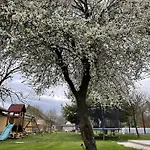 Σπίτι διακοπών Dom Pod Mirabelkou - Mirabell Haz
