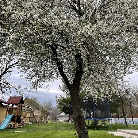 بيت للعطل Dom Pod Mirabelkou - Mirabell Haz