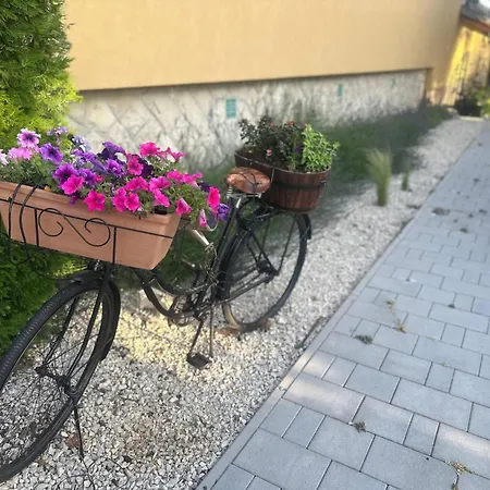 بيت للعطل Dom Pod Mirabelkou - Mirabell Haz