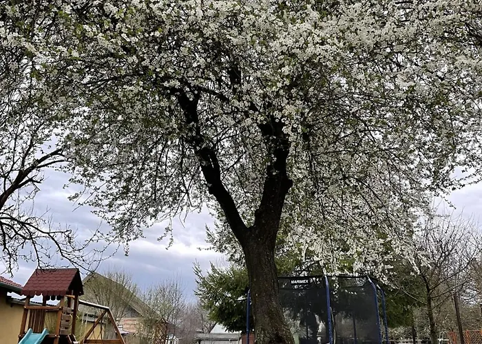 Feriehus Dom Pod Mirabelkou - Mirabell Haz